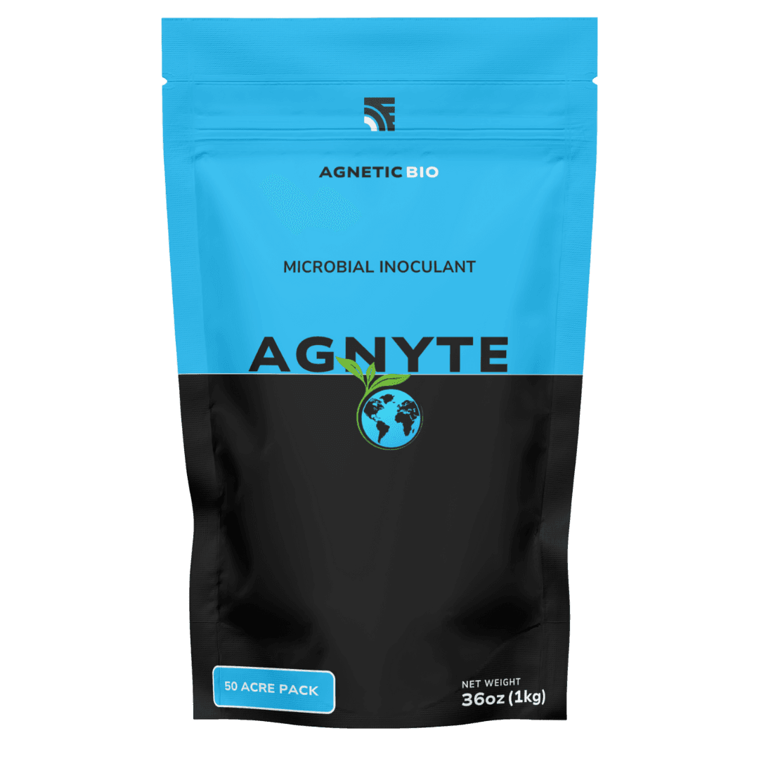 AGNYTE product image
