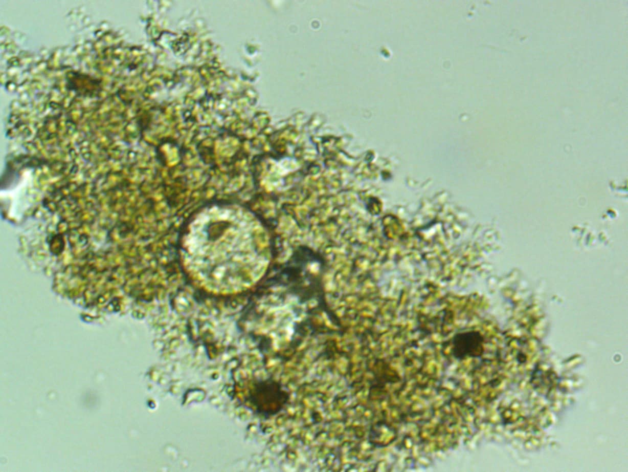 MetaGrow C product image